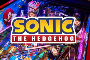 Sonic the Hedgehog Flipper kaufen