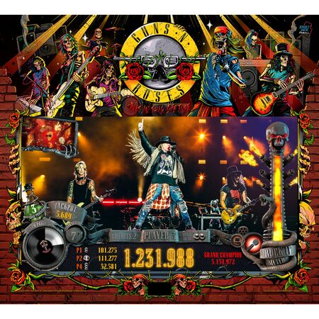 Guns N Roses Limited Edition (LE)