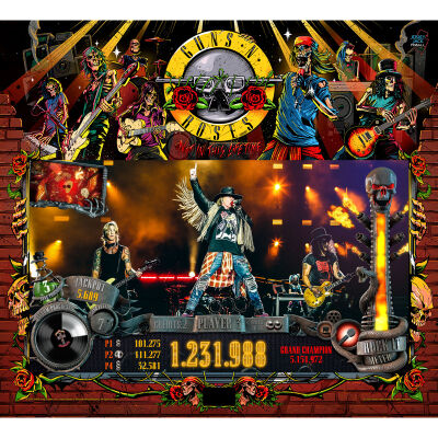 Guns N Roses Limited Edition (LE)
