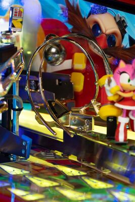 Sonic the Hedgehog Collectors Edition (CE)