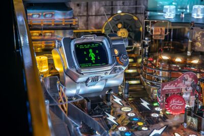 Fallout Limited Edition (LE)