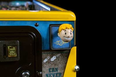 Fallout Limited Edition (LE)