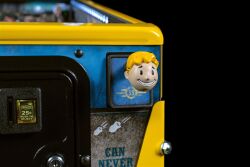 Fallout Limited Edition (LE)