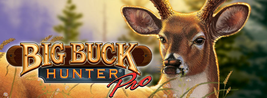 01/2010: Big Buck Hunter (BBH)